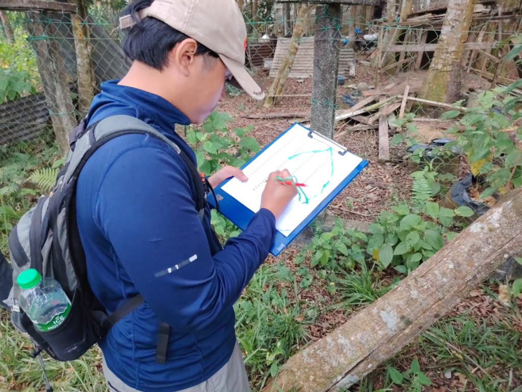 Field assessment in an agarwood plantation